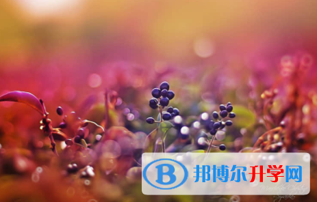 南充2022年中考升學錄取比例
