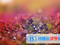 南充2022年中考升學錄取比例