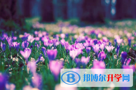 南充2022年中考生落榜后可不可以選擇復(fù)讀