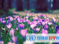 南充2022年中考生落榜后可不可以選擇復讀