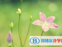 南充2022年中考填志愿的網(wǎng)站