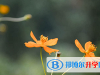 南充2022年中考填志愿統招和調劑