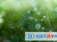 南充2022年中考調招