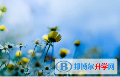 南充2022年中考聽力