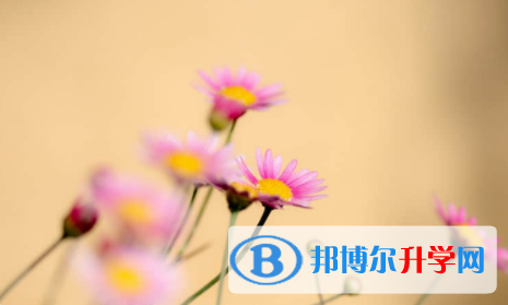 南充2022年中考網錄取系統