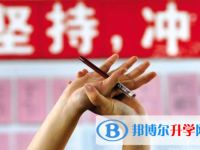 南充2022年中考網絡應用服務平臺