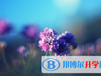 南充2022年中考網中考查詢