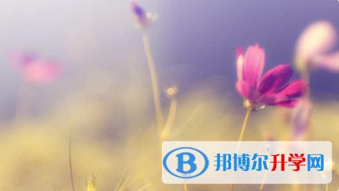 南充2022年中考信息服務平臺
