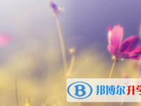 南充2022年中考信息服務平臺