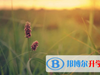 南充2022年中考藝體時間