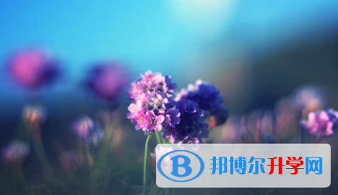 南充2022年中考招生辦電話