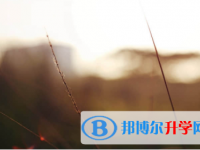 南充2022年中考招生計劃查詢