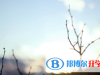 南充2022年中考志愿官網(wǎng)