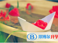 南充2022年中考重點復習資料