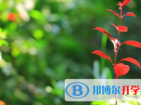 南充2022年中考重點線上線率