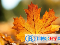 南充2022年中考準考證信息