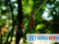 南充2022年中考咨詢熱線電話號碼