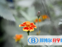 南充2022年中考自主招生報名