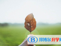 南充2022年中考自主招生成績