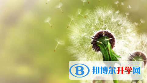 南充2022年中考自主招生考試學校