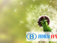 南充2022年中考自主招生考試學校