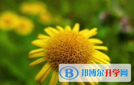 南充2022年中考自主招生時間