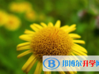 南充2022年中考自主招生時間