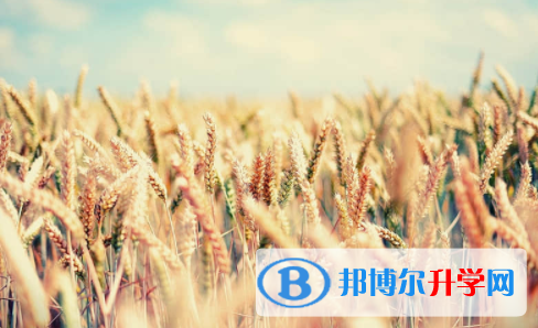 南充2022年中考的規則