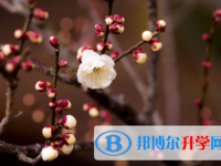 南充2022年中考生活注意事項(xiàng)