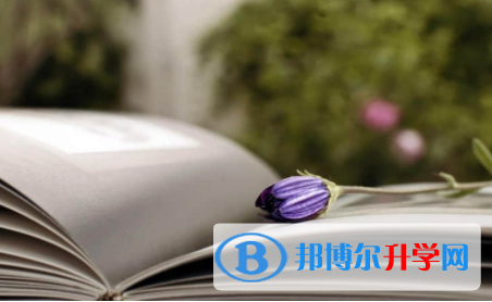 南充2022年中考應對策略
