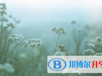 南充2022年中考注意事項(xiàng)