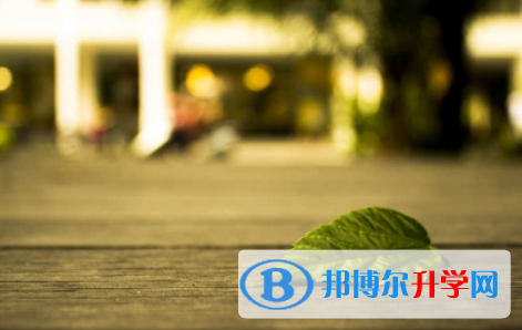 南充2022年中考重點復習