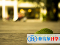 南充2022年中考重點(diǎn)復(fù)習(xí)