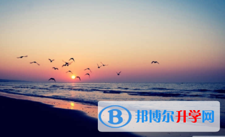南充2022年什么是中考調劑生