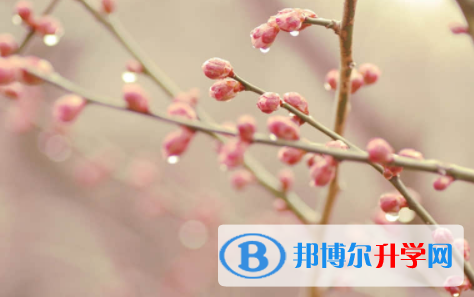 南充2022年中考報名是哪個網站