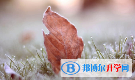 南充2022年中考報名網站是什么