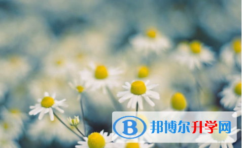 南充2022年中考網絡應用服務平臺登錄