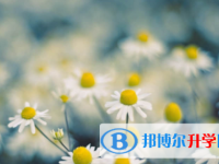 南充2022年中考網絡應用服務平臺登錄