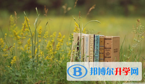 南充2022年中考報(bào)考志愿表