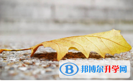 眉山2022年查詢中考成績上哪個網站