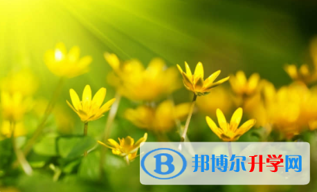 眉山2022年如何查詢中考錄取結果
