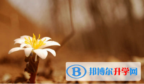 眉山2022年網上查詢中考成績怎么查詢
