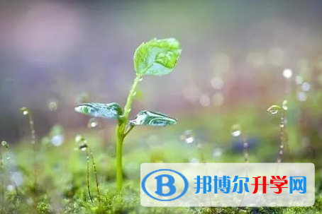 眉山2022年中考查詢系統