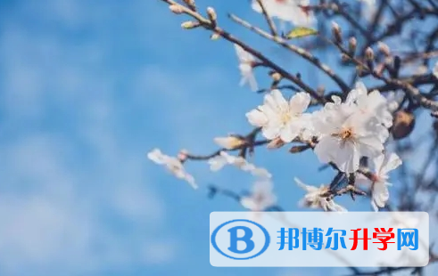 眉山2022年中考查詢總成績