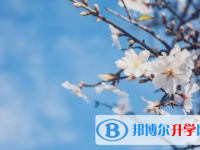 眉山2022年中考查詢總成績