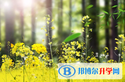 眉山2022年中考成績如何查詢