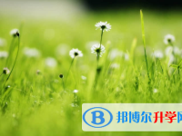 眉山2022年中考成績查詢網址