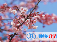 眉山2022年中考多久出成績
