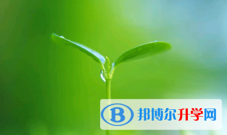 眉山2022年中考后幾天出成績