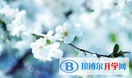 眉山2022年中考考號查詢